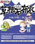 《草根石布衣》小说封面