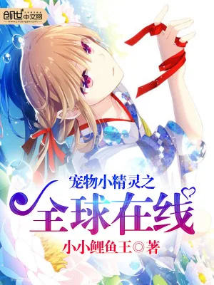 《宠物小精灵之全球在线》小说封面