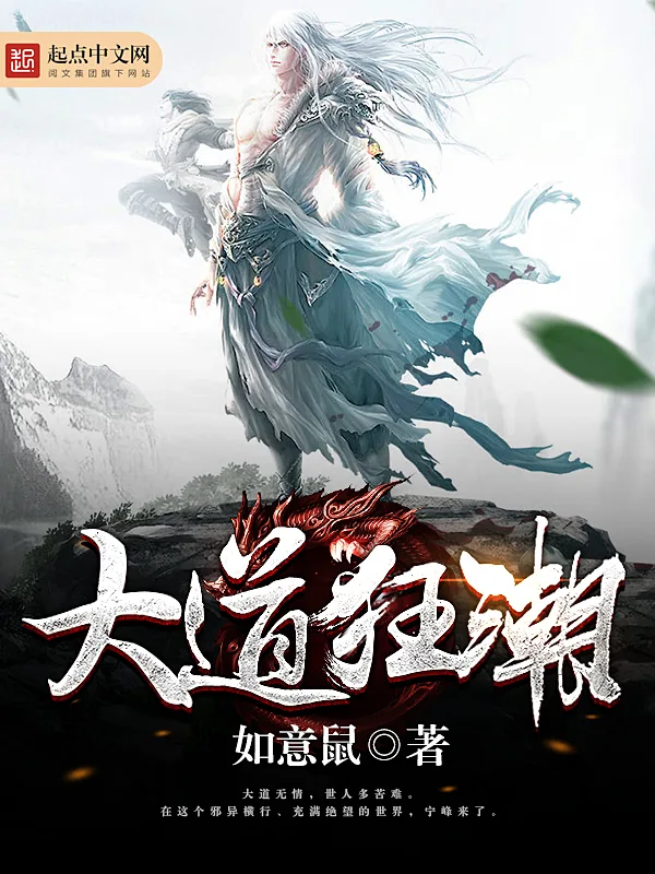 《大道狂潮》小说封面