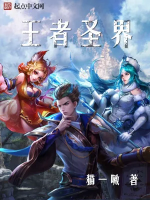 《王者圣界》小说封面