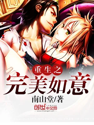 《重生之完美如意》小说封面