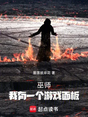 《巫师,我有一个游戏面板》小说封面