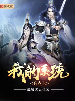 《我的系统有点卡》小说封面