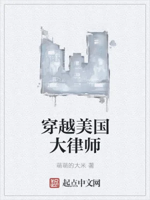 《穿越美国大律师》小说封面