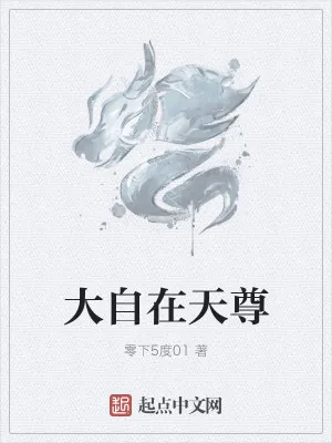 《大自在天尊》小说封面