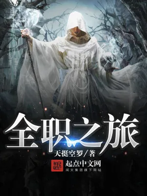 《全职之旅》小说封面