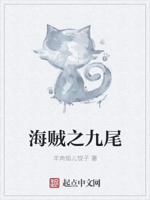 《海贼之九尾》小说封面