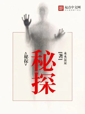 《秘探》小说封面