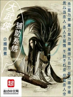《大武侠辅助系统》小说封面