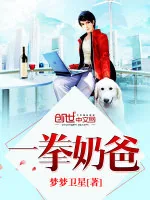 《一拳奶爸》小说封面