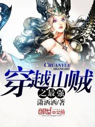 《穿越山贼之最强》小说封面