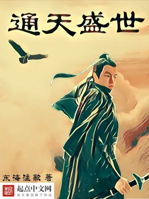 《通天盛世》小说封面