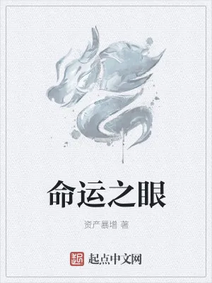 《命运之眼》小说封面