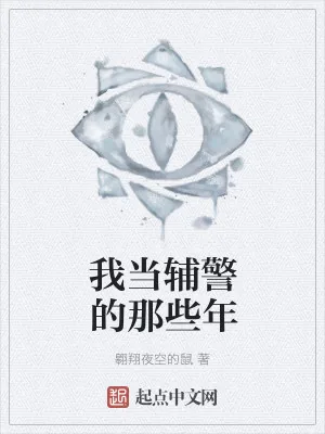 《我当辅警的那些年》小说封面