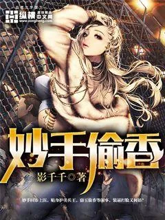 《妙手偷香》小说封面