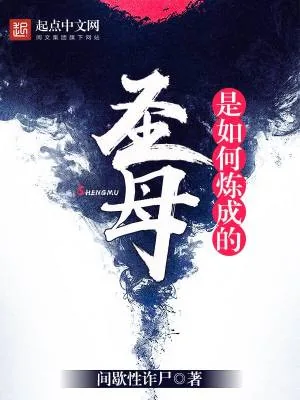 《圣母是如何炼成的》小说封面