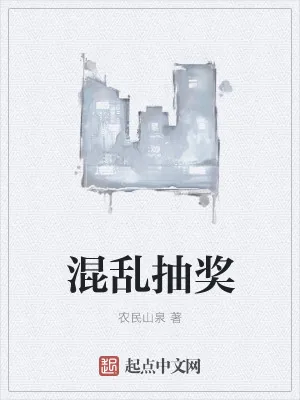 《混乱抽奖》小说封面