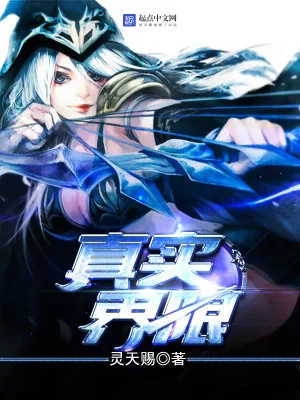 《真实界限》小说封面