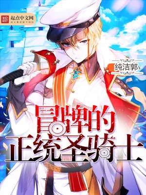 《冒牌的正统圣骑士》小说封面