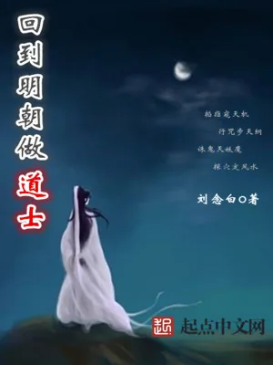 《回到明朝做道士》小说封面