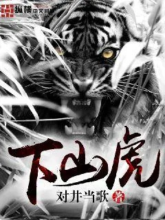 《下山虎》小说封面