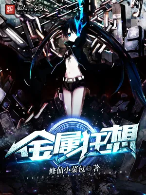 《金属狂想》小说封面