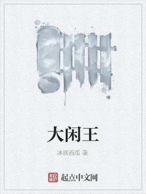 《大闲王》小说封面