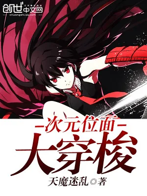 《次元位面大穿梭》小说封面