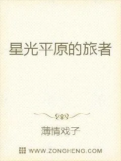 《星光平原的旅者》小说封面