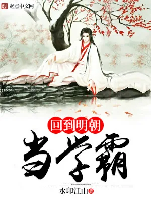 《回到明朝当学霸》小说封面