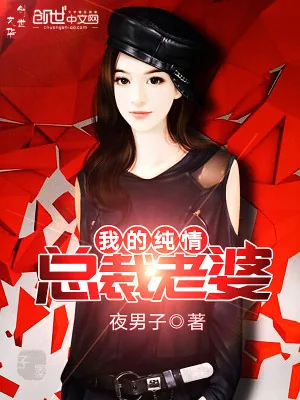 《我的纯情总裁老婆》小说封面