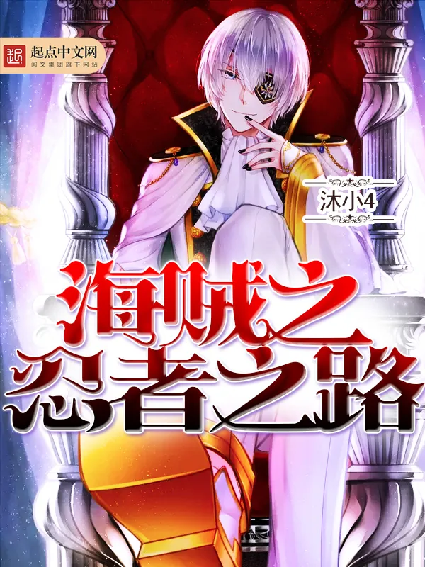 《海贼之忍者之路》小说封面