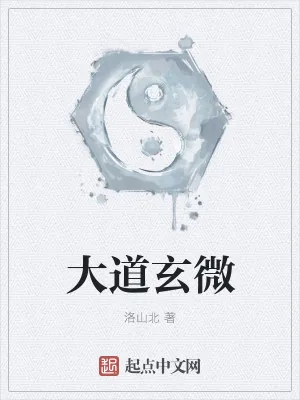 《大道玄微》小说封面