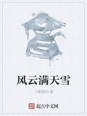 《风云满天雪》小说封面