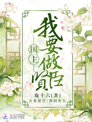 《国主，我要做贤臣》小说封面