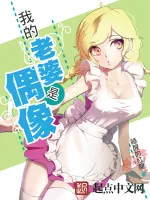 《我的老婆是偶像》小说封面