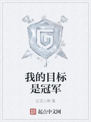 《我的目标是冠军》小说封面