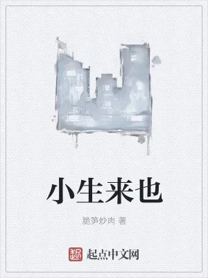 《小生来也》小说封面