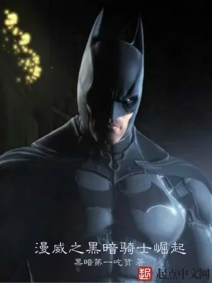 《漫威之黑暗骑士崛起》小说封面