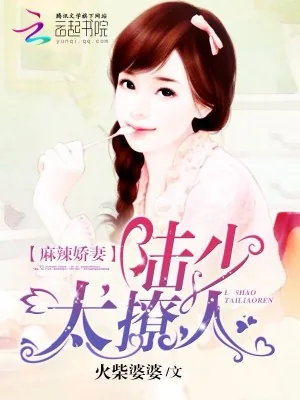 《麻辣娇妻：陆少，要抱抱》小说封面