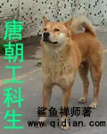 《唐朝工科生》小说封面