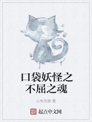 《口袋妖怪之不屈之魂》小说封面