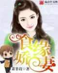 《食缘娇妻》小说封面
