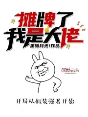 《摊牌了我是大佬》小说封面