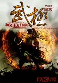 《武极》小说封面