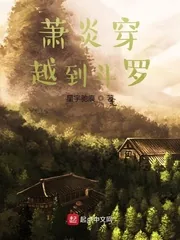 《萧炎穿越到斗罗》小说封面