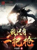 《我只有一把枪》小说封面
