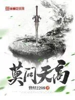 《莫问天高》小说封面