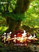 《祥和森林》小说封面