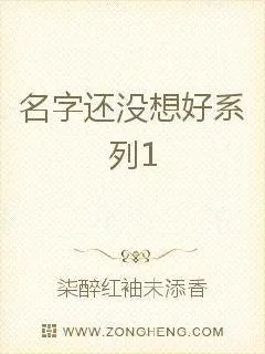《人类复兴计划》小说封面